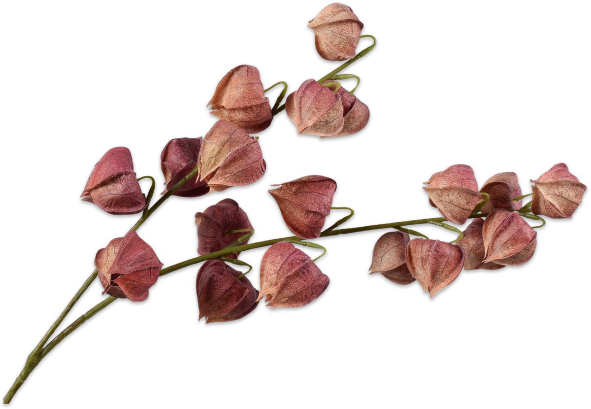Silk-ka Kunstbloem Physalis - Lampionplant Tak - Zijden Bloem - Bruin - 79 cm