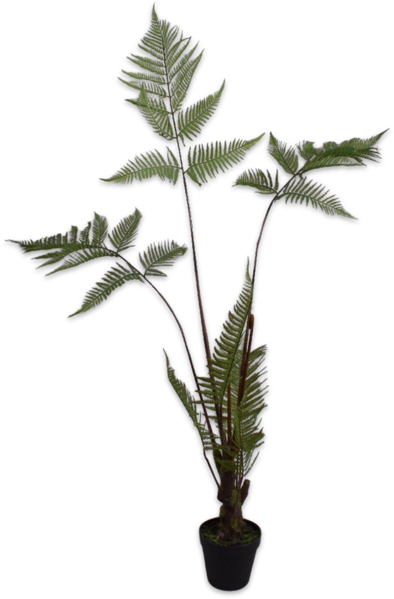 Silk-ka - Kunstplant - Varen in Pot - Groen - 121 cm