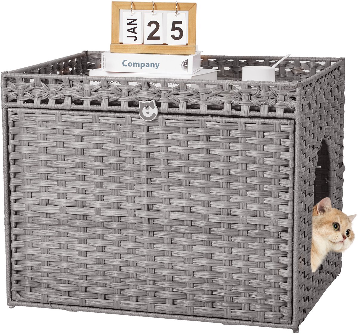 Triumpunpre Kattenbakmeubel – Verborgen Kattenbak Kast met Mat en Hek, Handgeweven Rotan-look, Ruim Binnen Kattenhuis met Opbergruimte voor Woonkamer en Appartement – Grijs (70x56x53 cm)