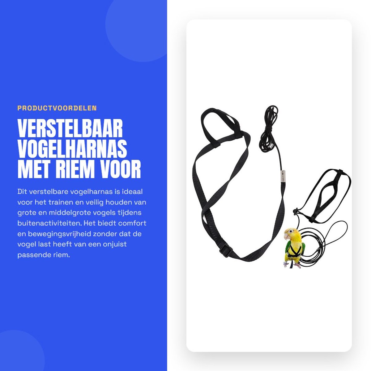 Dailygoods- Vogelharnas Verstelbaar - Riem voor Papegaaien - Buiten Trainingstouw - Geschikt voor Valkparkiet/Ara - Lichtgewicht Nylon - Metalen Gesp - Vogelriem