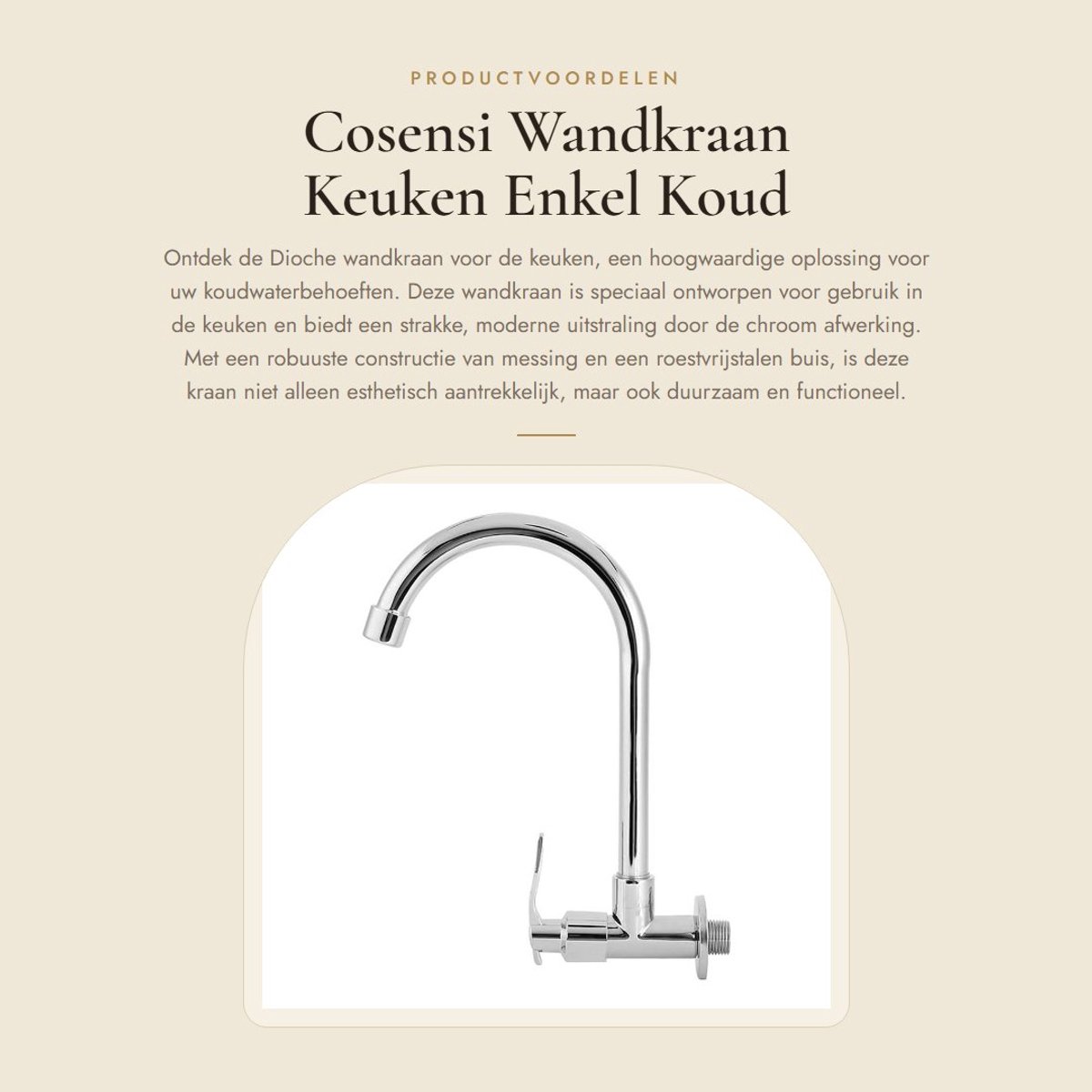 Dailygoods- Keukenkranen Wandmontage - Keukenkraan Koud Water - Messing Behuizing - Roestvrij Staal - Hoogte 26 cm - Spuitbereik 14 cm - Wandkraan
