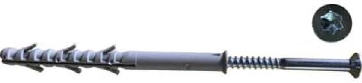Verlengde pluggen - Pluggen met schroef - Bevestigen aan muur - Met Torx schroef - 10 x 100 mm - Grijs