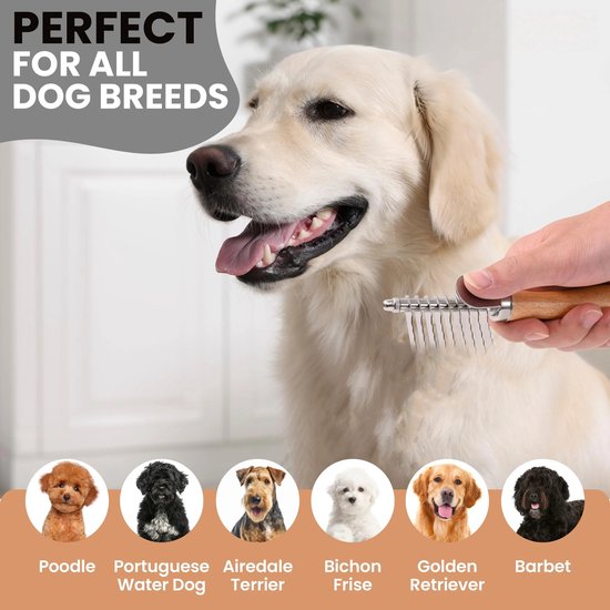 Gouden retriever wordt geborsteld met een kam. Kleine foto's van poedel, Portugese waterhond, Airedale terrier, Bichon frisé en Barbet.