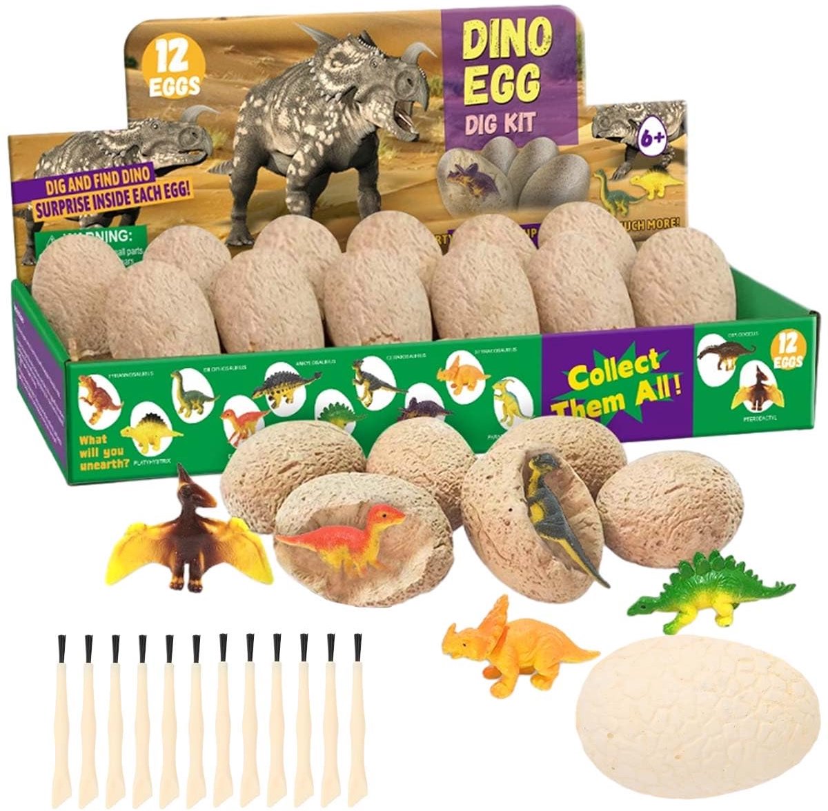 Dailygoods- Dinosauruseieren 12 Stuks - Opgravingsset - Speelgoed - Dinosaurusfossielen - Leeftijd 4-8 - Verjaardagsgunsten/Paasfeest