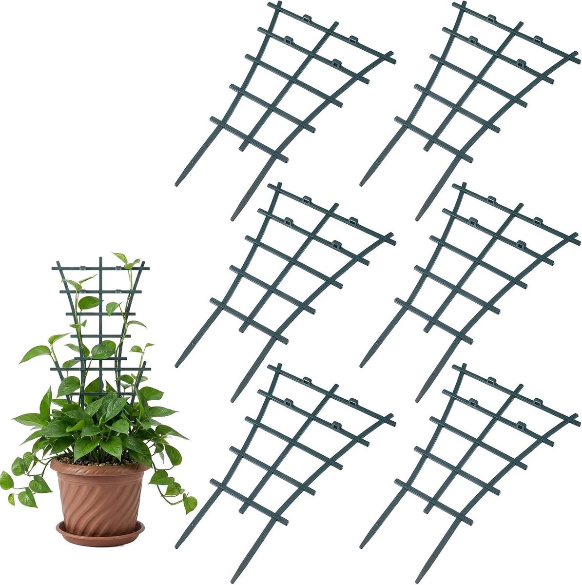 Set van 6 duurzame plantenhekken voor kamerplanten, rankhulp, herbruikbare plantensteun, 24,5 x 15 x 1 cm, ideaal voor klimplanten en decoratie