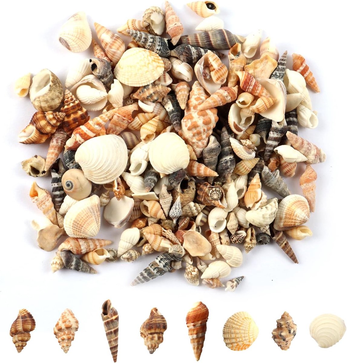 SnelShoppen - Kleine Natuurlijke Schelpen 200g - Decoratieve Mix voor Kaarsen, Knutselen, Vaasje Vullen (0.3-3cm), Kleurige Schelpen voor Feest, Tuin,