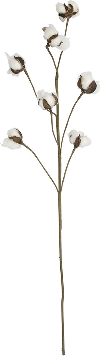 siertak katoenplant 80cm*