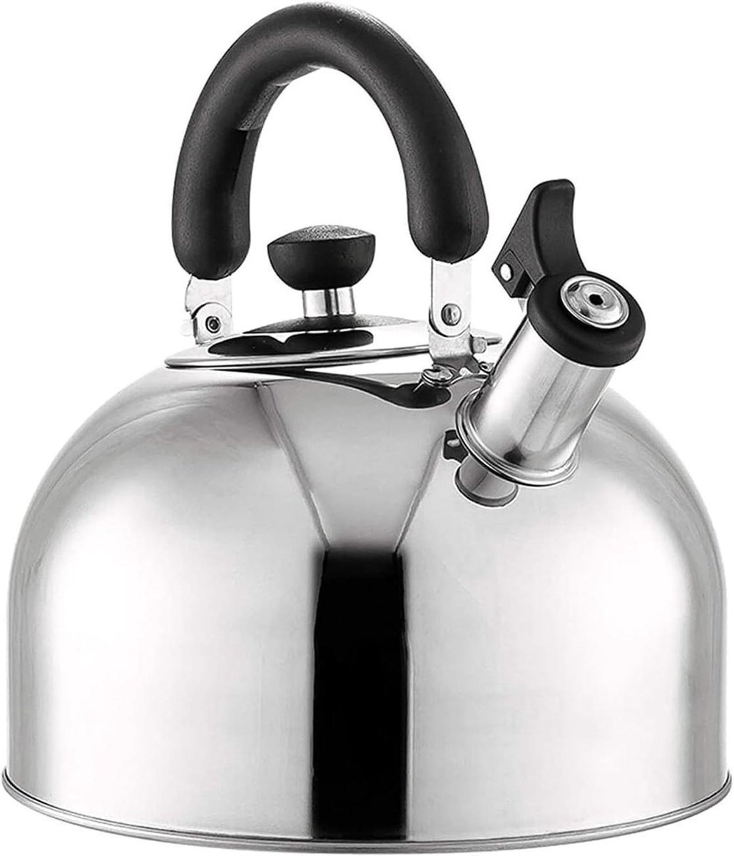 Waterkoker Met Fluitje Theepot Kookplaat Koffie En Thee Roestvrij Staal 6 Liter Blauw Zilver