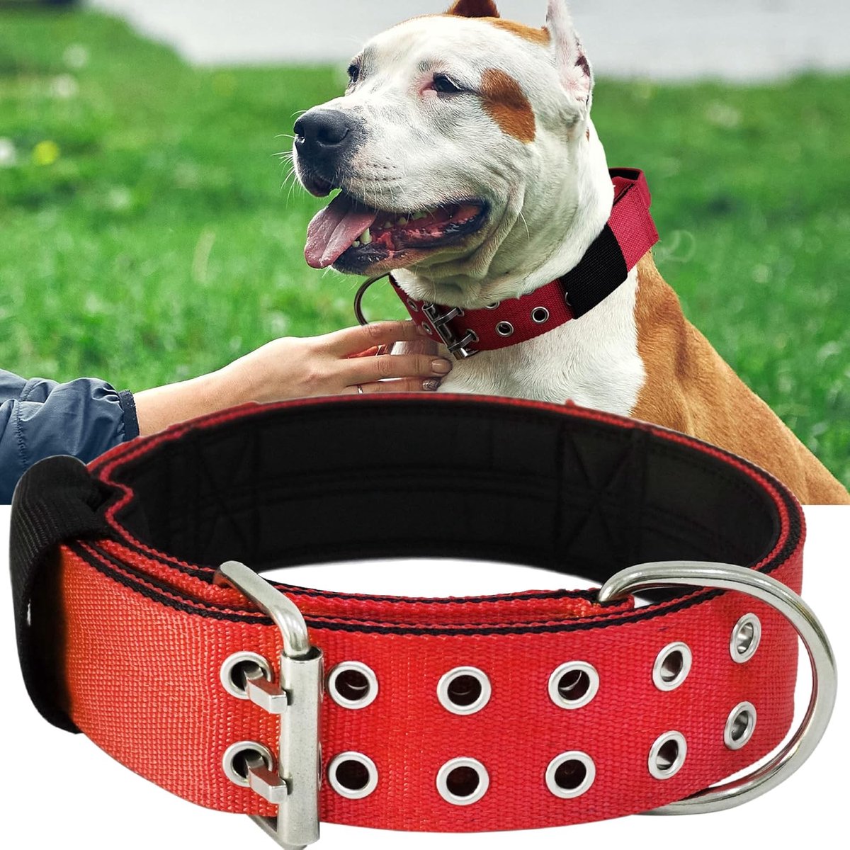 SnelShoppen - Hondenhalsband voor Grote Honden, 5 cm Brede Halsband met Handgreep voor Extra Brede Rassen, Stevige Neopreen en Zacht Gevoerde Nylon Ha