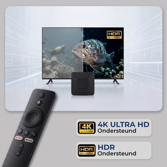 Een tv toont naast elkaar beelden van zeeleven en een vis; ernaast een zwarte TV Box en afstandsbediening, met 4K HDR-indicatoren.