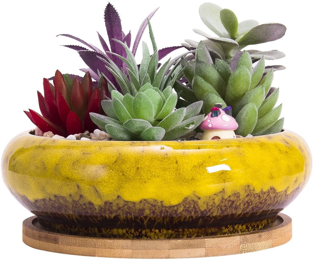 Omgoods - Grote Bonsai Pot met Onderzetter - 18.5cm Gele Keramische Succulent Pot