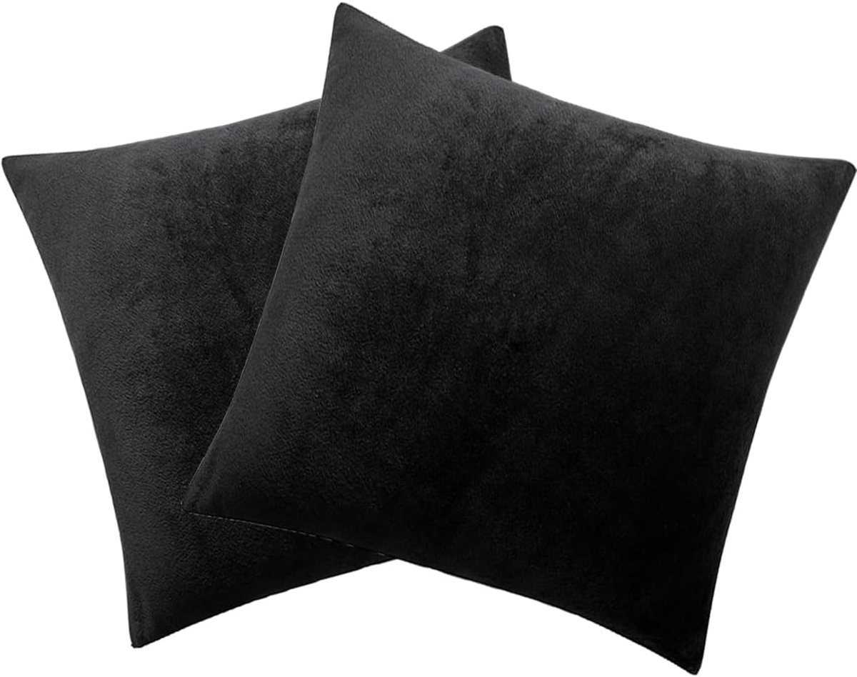 SnelShoppen - Set van 2 Kussenhoezen 40 x 40 cm, Fluweel Kussens, Super Zacht en Pluizig, Decoratieve Kussens voor Bank, Slaapkamer, Feest en Bruiloft