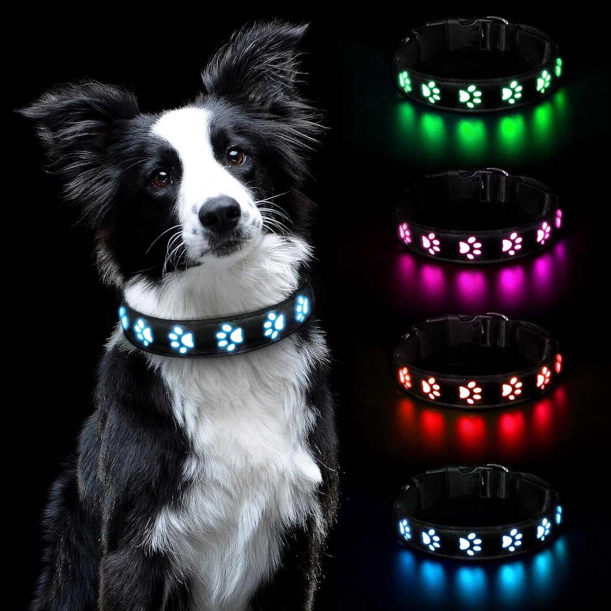 SnelShoppen - Luminous Hondenhalsband, LED Veiligheidshalsband, USB Oplaadbaar, Waterdicht Voor Kleine, Middelgrote En Grote Huisdieren, 3 Verlichting