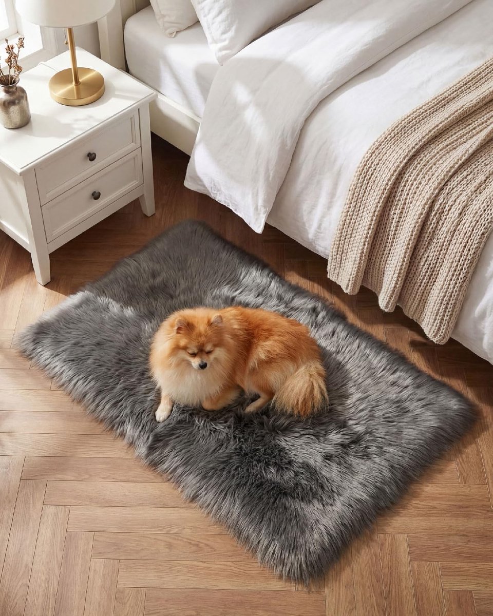 Omgoods - Vloerkleed 60 x 90 cm - Grijs Antislip en Dikke Pool