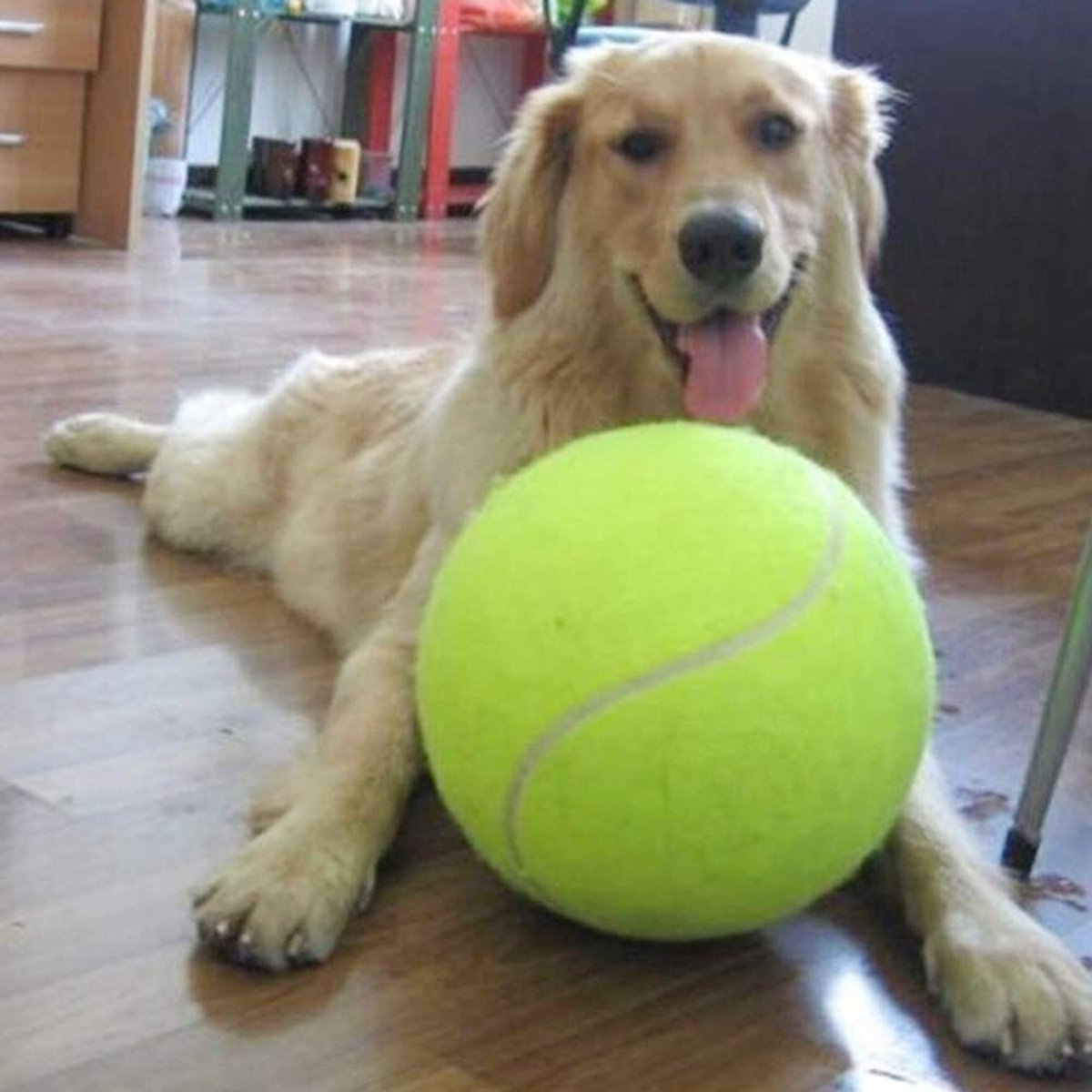 Omgoods - 24cm Gekleurde Tennisbal voor Honden - Inflatable Speelgoed voor Buiten en Binnen