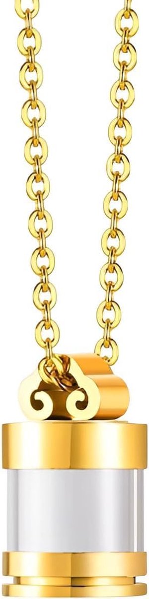 Urn Ketting Huisdier - As Hanger - Huisdier Herdenken - Glazen Fles Buis - One Size - Zilver