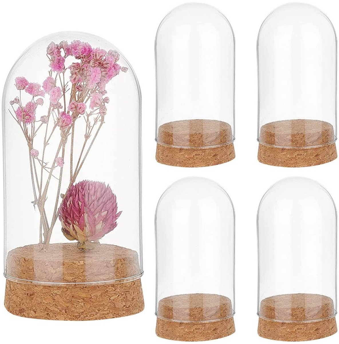Omgoods - Set van 10 Glazen Cloche Display Doms met Kurken Basis