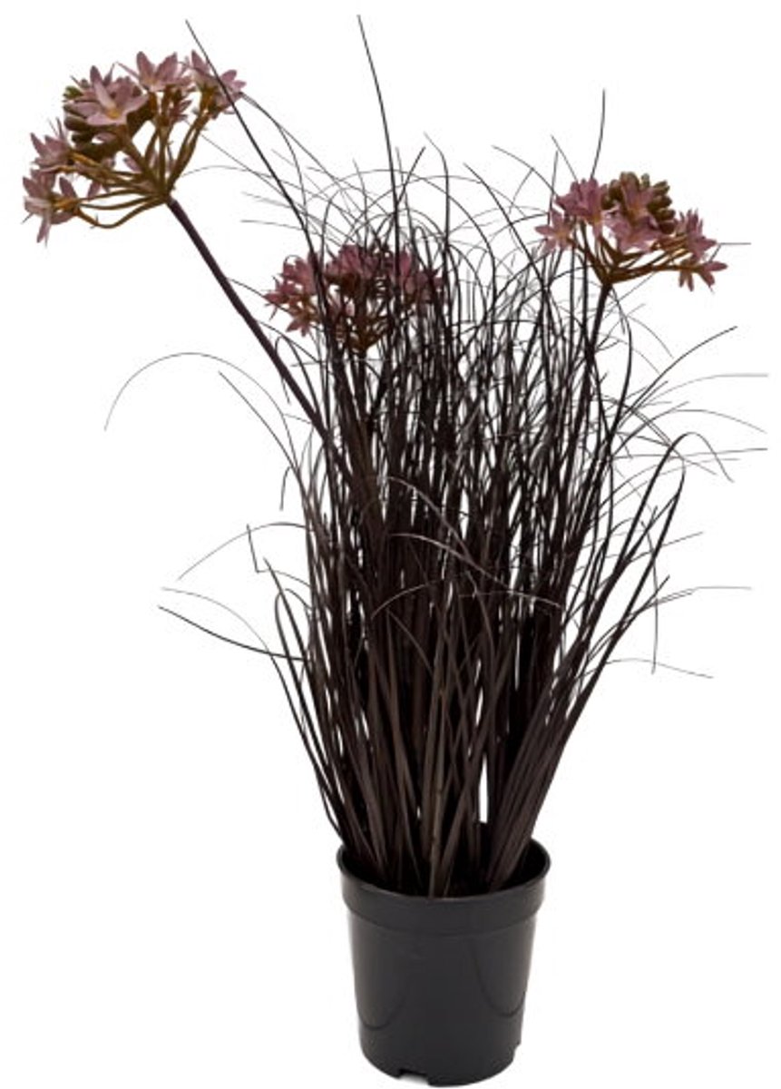 Tulbaghia Violacea siergras in pot H 50 cm kunstplant Oosterik Home