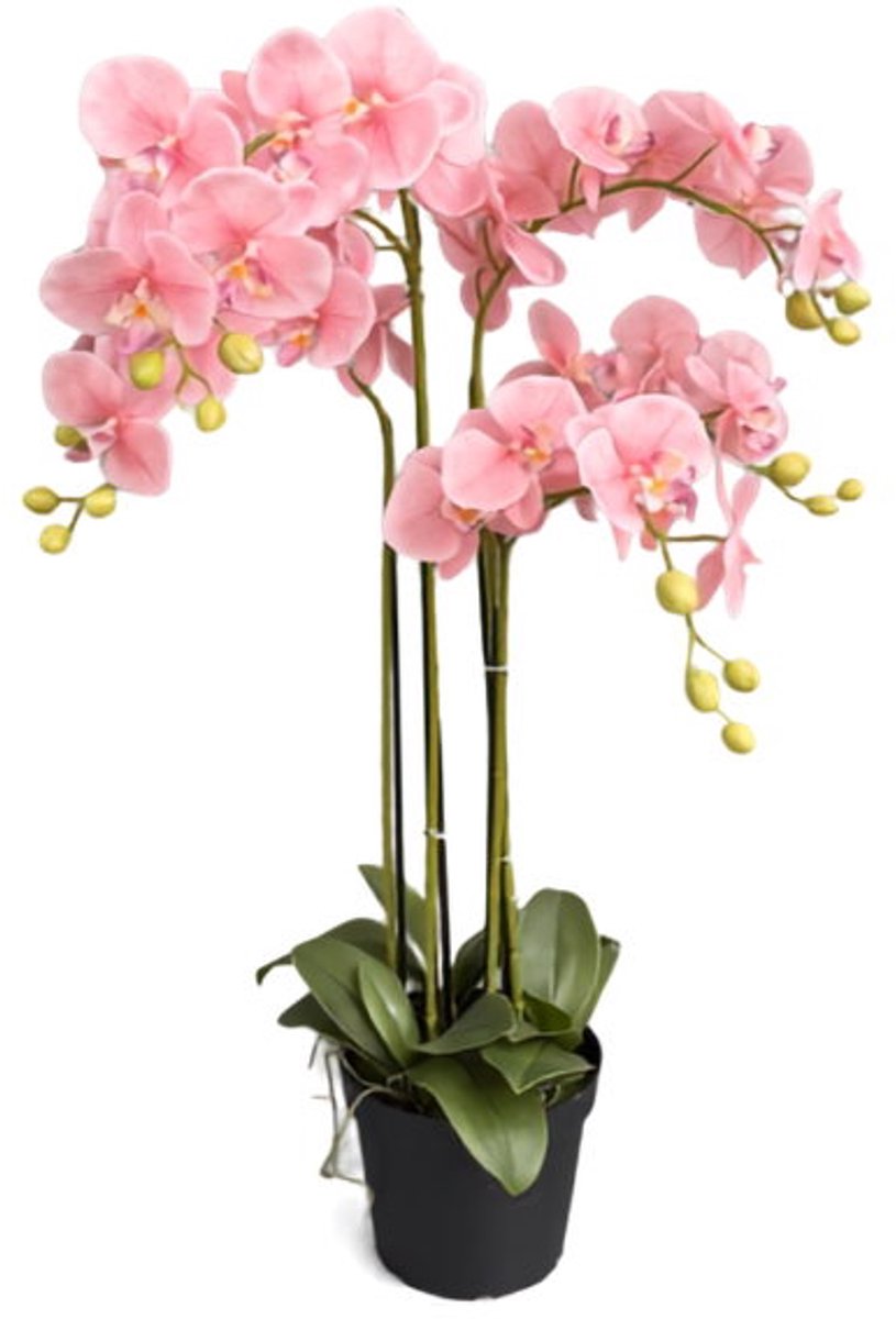 Orchidee new pink in pot H 85 cm kunstplant Oosterik Home