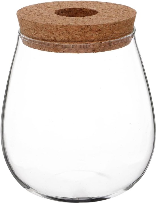 Creatieve Transparante Hydroponische Glazen Vaas voor Binnenplanten - Ondersteuningsstation voor Stekken, Terrarium Planten en Decoratie voor de Bureauomgeving
