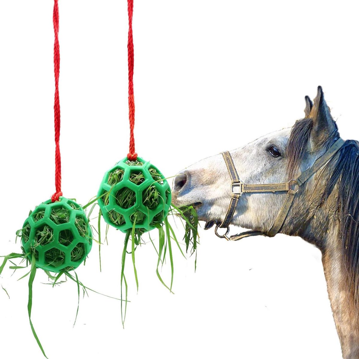 Hooi Voederstation - Voerbal Paard - Paard Vermaken - Hangend Speelgoed - Diameter 14 cm - Groen
