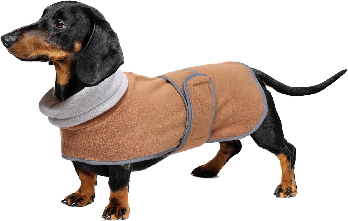 Warm Thermo Gevoerd Dackel Jasje voor Miniatuur Teckels, Buitenjas met Verstelbare Bandjes en Fleece Voering - Bruin - M