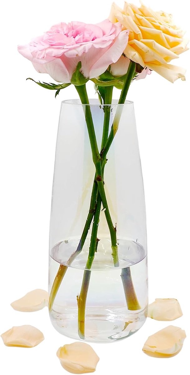 Glass Flowers Vase, Ins Modern Clear Glass Vase, 22CM Tall Glass Vase for Table Decoration, Decorative Vases for - ShopVlot