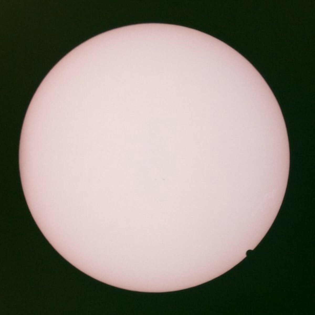 A Collection of Rarities and Previously Unreleased Material