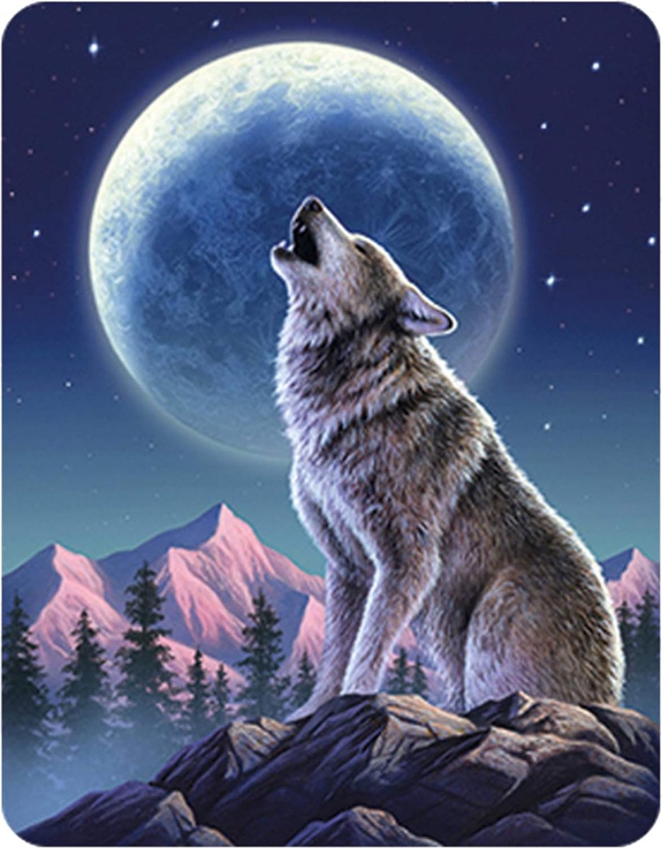 3D LiveLife Magnet - Moonlight Sonata by Deluxebase. Lenticular 3D Wolf Fridge Magnet Magnetic Decor for Children and - ShopVlot