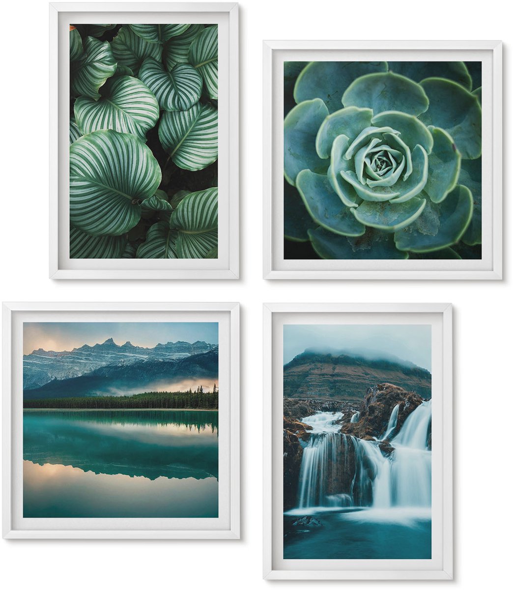 Wallfluent 4-Delige Schilderij Set - Close-Ups Van Planten, Bladeren En Vetplanten - 40 x 40 En 40 x 60 - Wanddecoratie - Moderne Interieurdecoratie - Interieur Decoratie