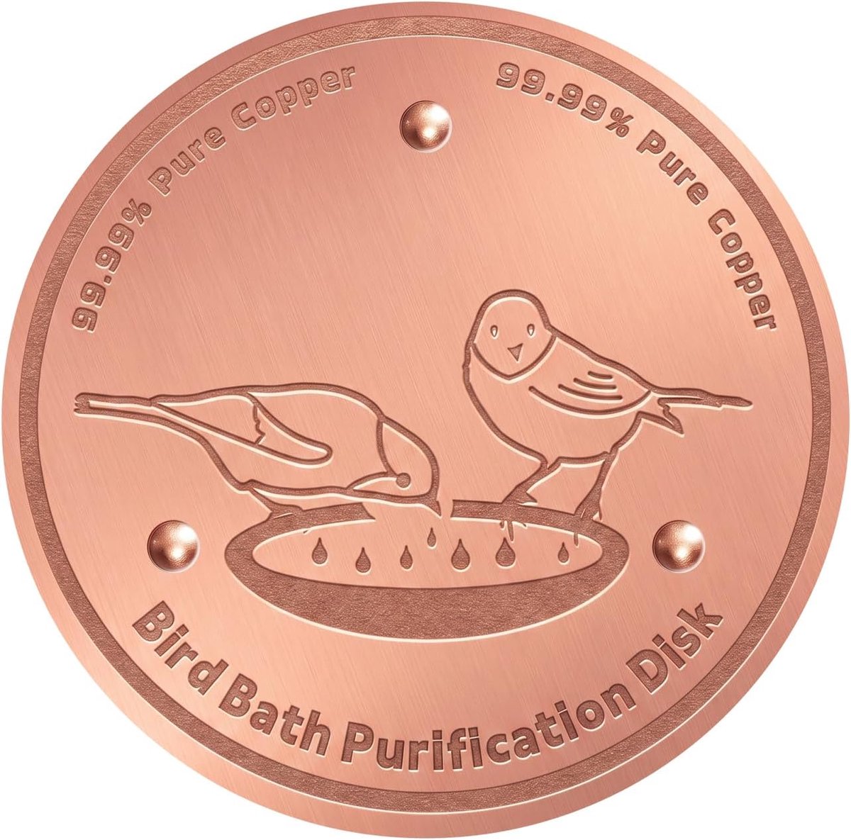 Vogeldrinkbad waterreiniger 10cm - koperen schijf - minder algen - natuurlijk alternatief - ShopVlot