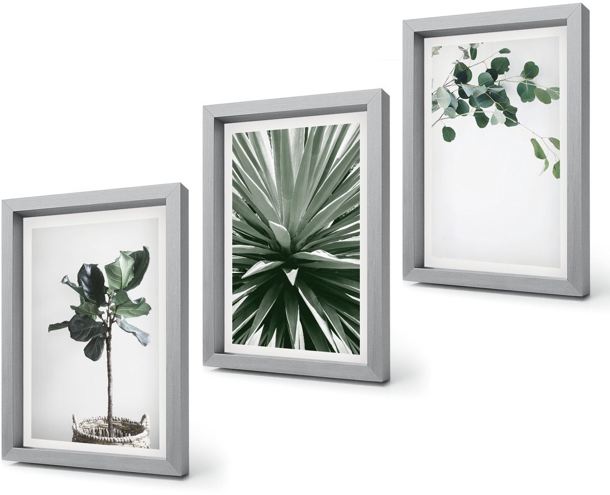 Coloray 4-Delige Schilderij Set - Groene planten in een minimalistische stijl - 20 x 30 cm - Decoratieve Schilderijen - Woonkamer - Interieur - Wanddecoratie Zilveren lijst