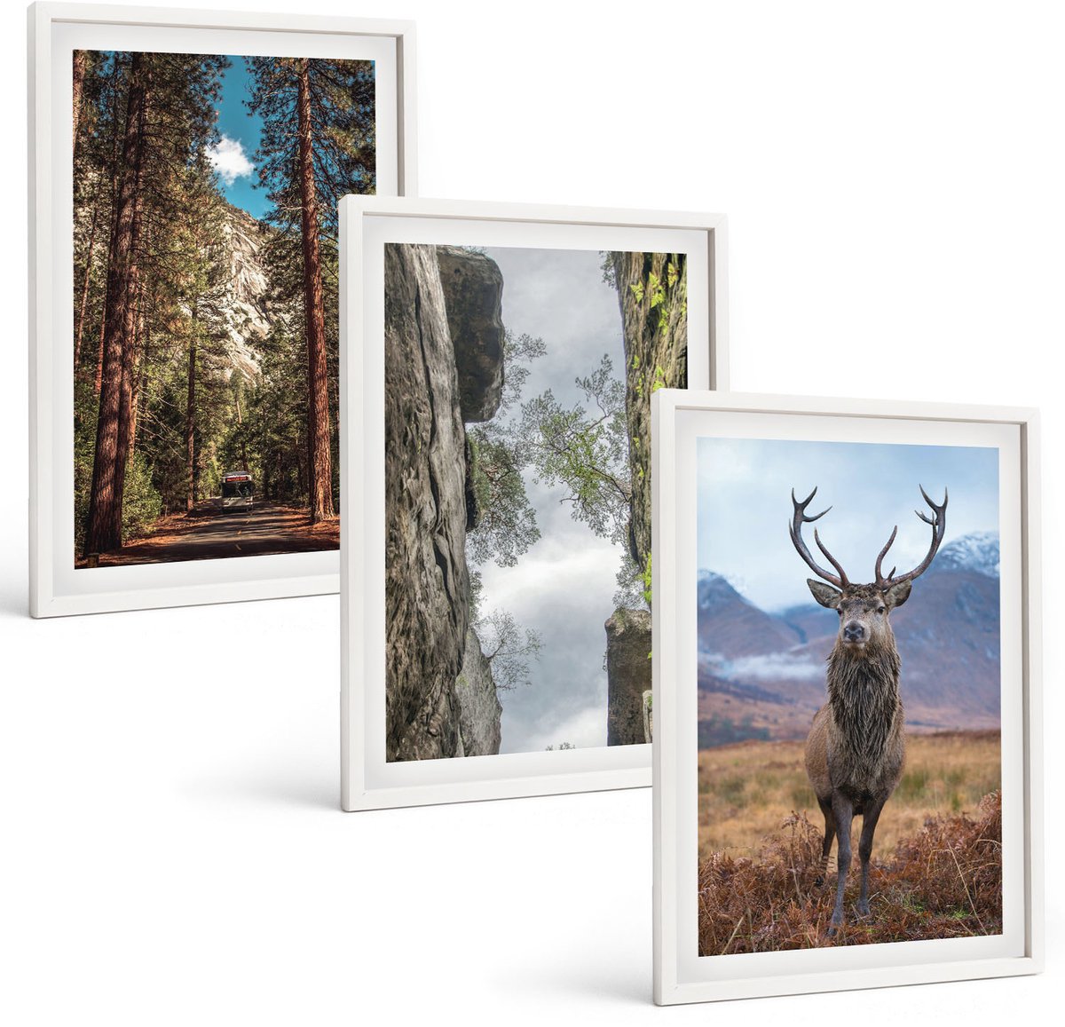 Tulup 3-Delige Schilderij Set - Weg door het bos, bergen en herten in de natuur. - 40x60 - Wanddecoratie - Schilderijen Set - Kantoor - Woonkamer Decoratie