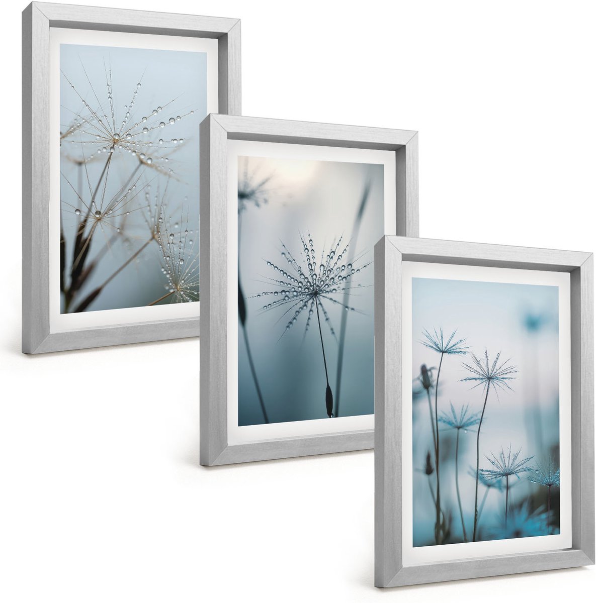 Tulup 4-Delige Schilderij Set - Fijne paardenbloemen met waterdruppels - 20 x 30 cm - Muurdecoratie - Wanddecoratie - Hal