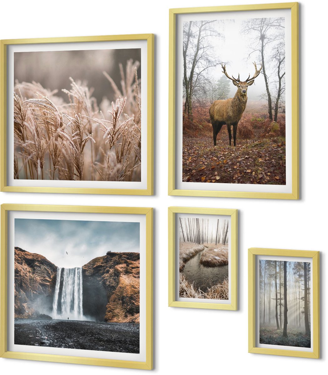 Coloray 5-Delige Schilderij Set - Natuurlijke Landschappen Met Wilde Dieren En Bosdieren - 50 x 50 cm, 20 x 30 cm En 40 x 60 cm - Wanddecoratie - Muurdecoratie - Woonkamer - Interieur Decoratie