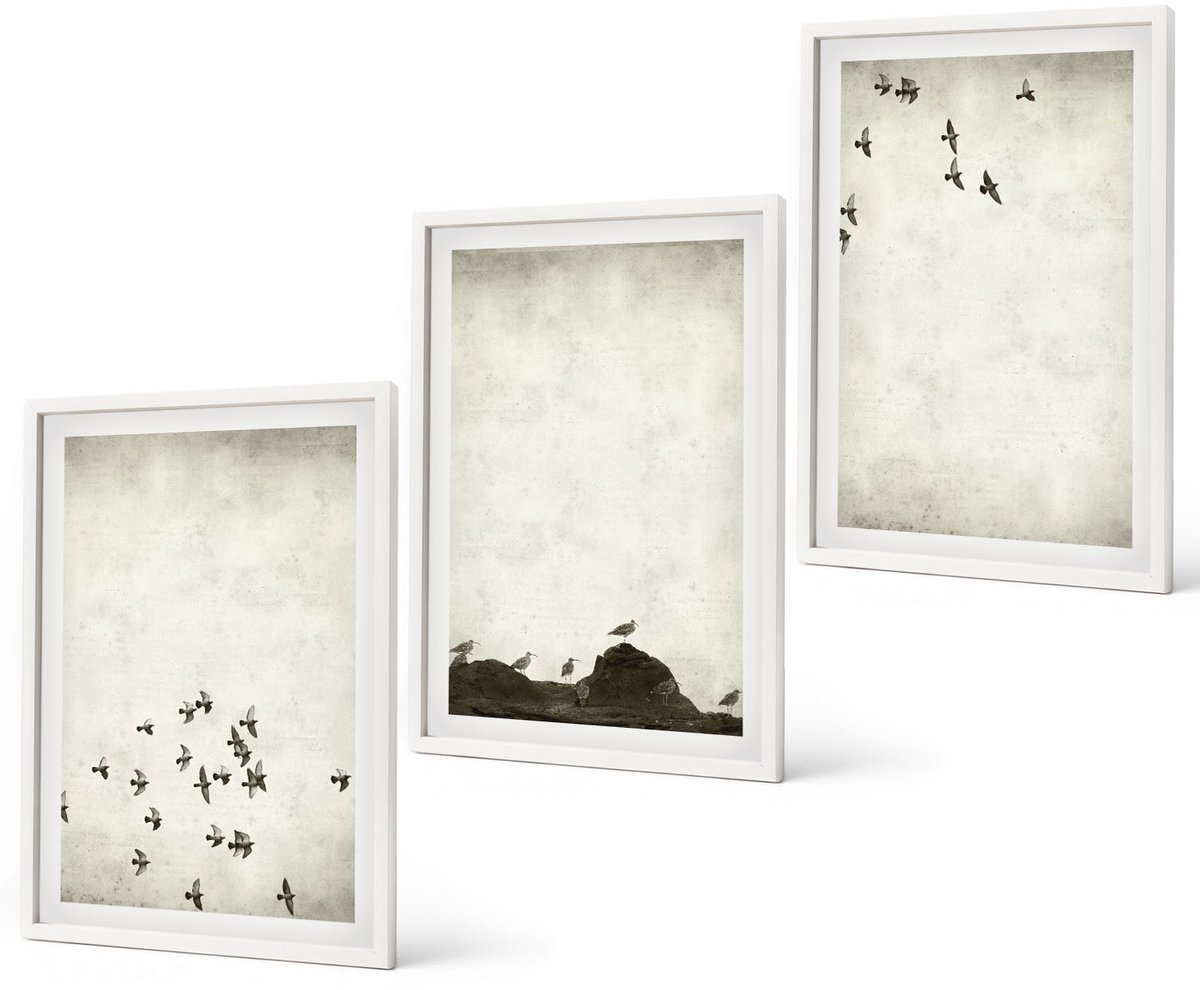 Coloray 3-Delige Schilderij Set - Vogels In Vlucht, Geschilderd In Minimalistische Stijl. - 40 x 60 - Wanddecoratie - Schilderijen Set - Interieur - Woonkamer Decoratie