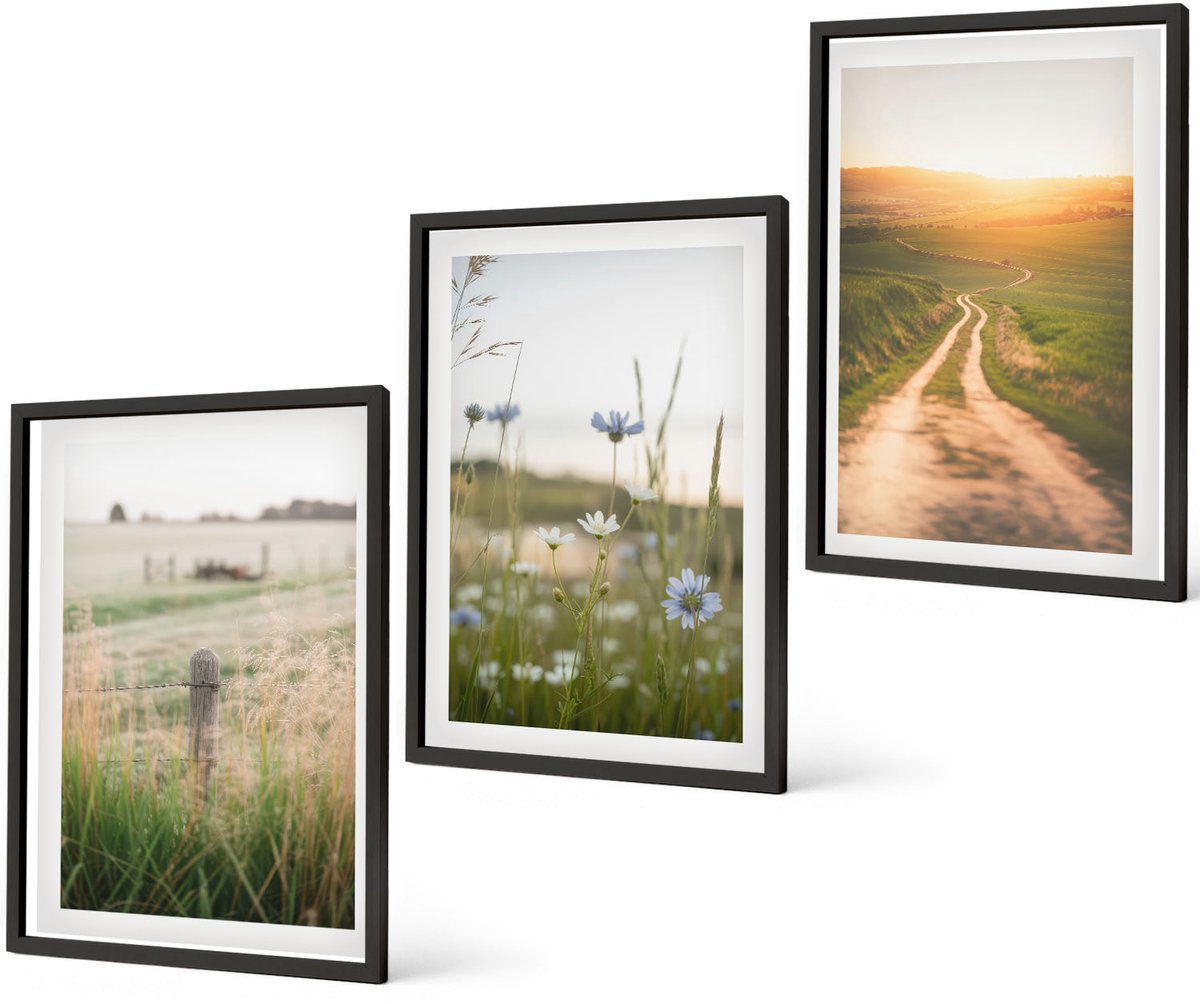 Coloray 3-Delige Schilderij Set - Natuurlandschappen Met Velden En Paden In De Zon. - 40 x 60 cm - Stijlvolle Muurdecoratie - Slaapkamer - Interieur Decoratie