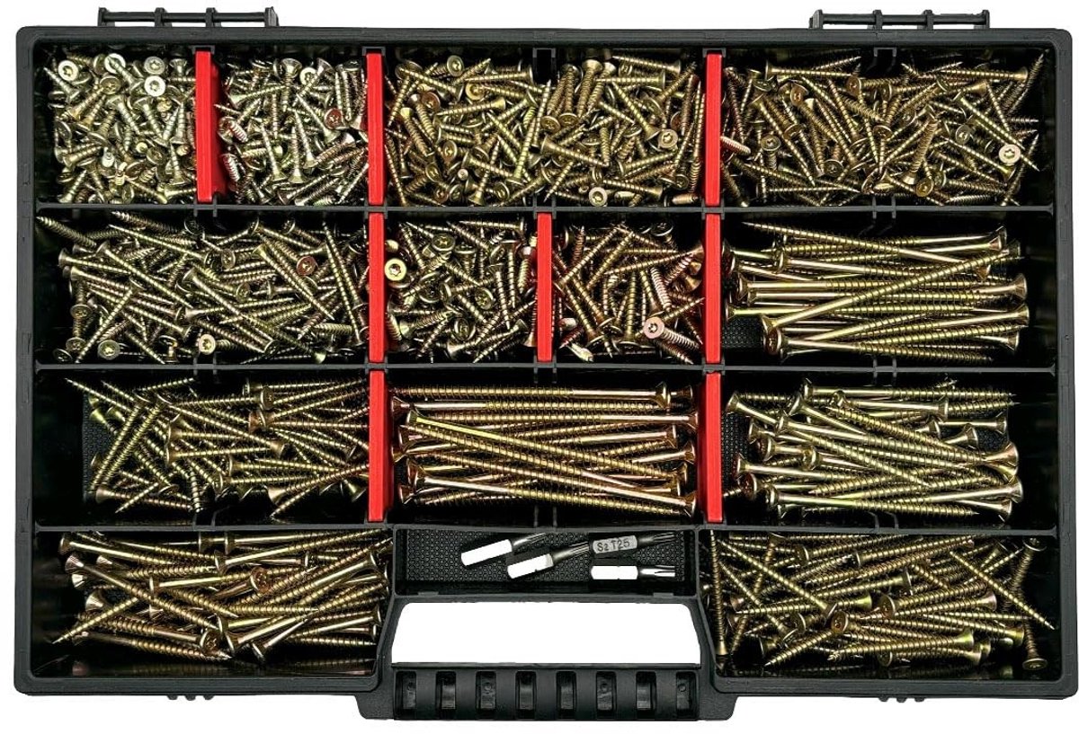 Dailygoods- Schroevenset 1000 Delen - Houtschroeven/Spaanplaatschroeven - Inclusief 4 TX-bits - Assortimentskoffer - Professionele Kwaliteit - Corrosiebestendig Staal - Schroeven