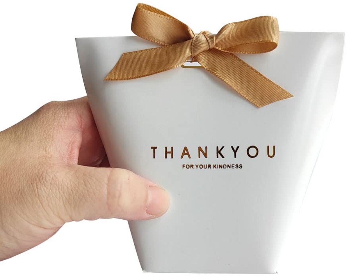 Dailygoods- Papieren Zakken 20 Stuks - Kraft Geschenktassen - Bruin Papier - Sterk en Stevig - Geschikt voor Cadeautjes - Biologisch Afbreekbaar - Geschenkzakjes
