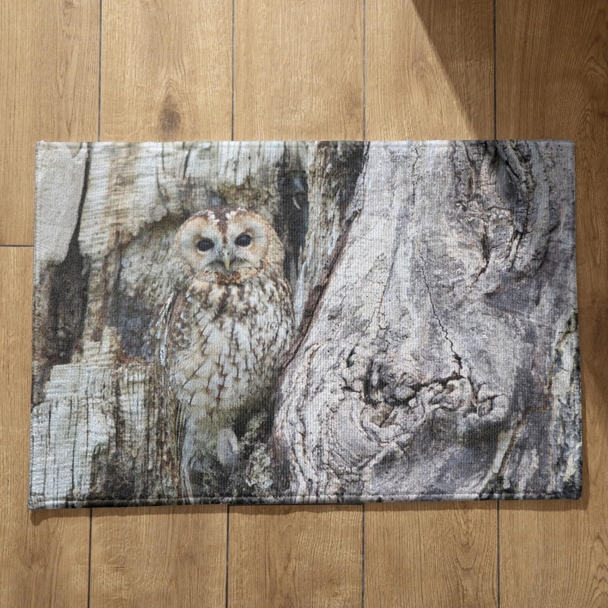 Voordeur Mat - Binnen Buiten - Voeten Vegen - Snel Absorberend - 50x80cm - Stijl 27