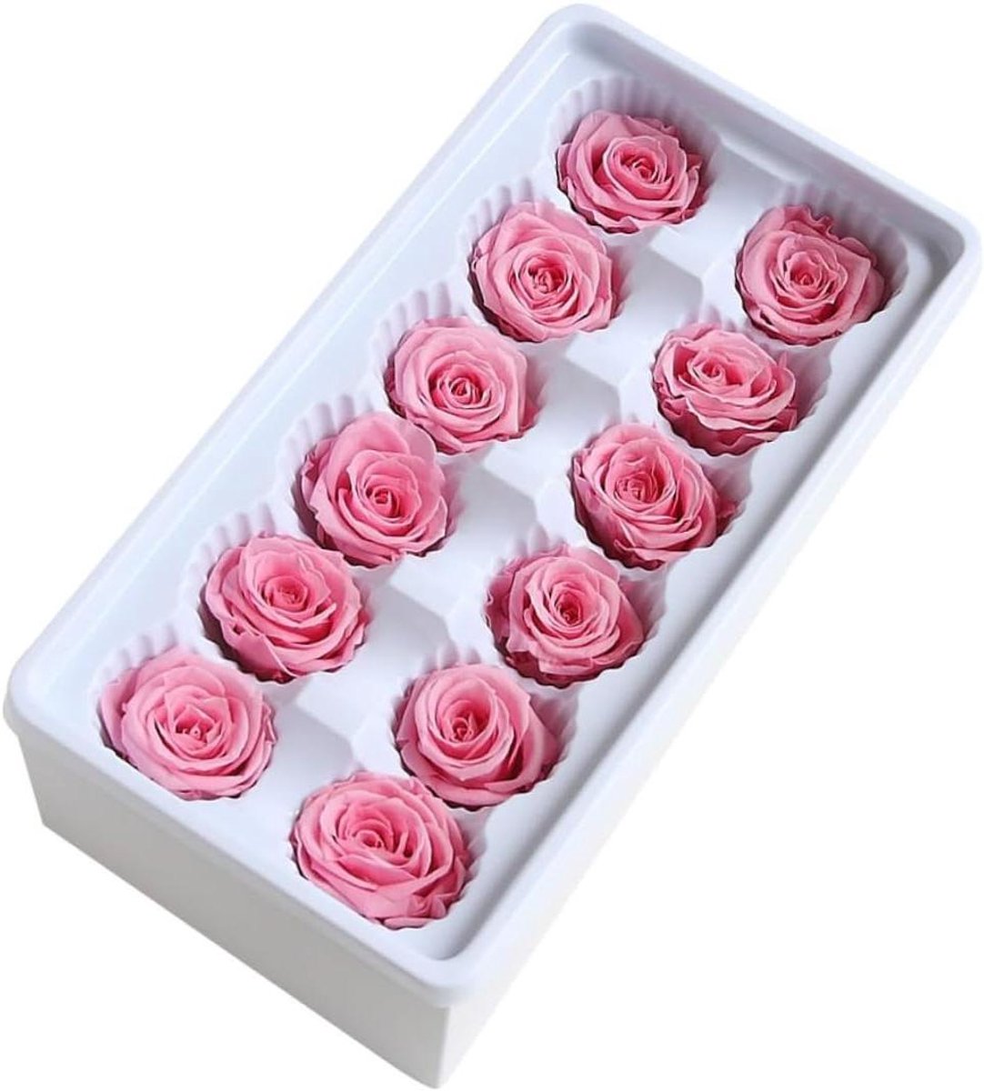 Geconserveerde Rozen - Onsterfelijke Bloemen - Decoratie Maken - Duurzaam Materiaal - 12 Stuks - Roze