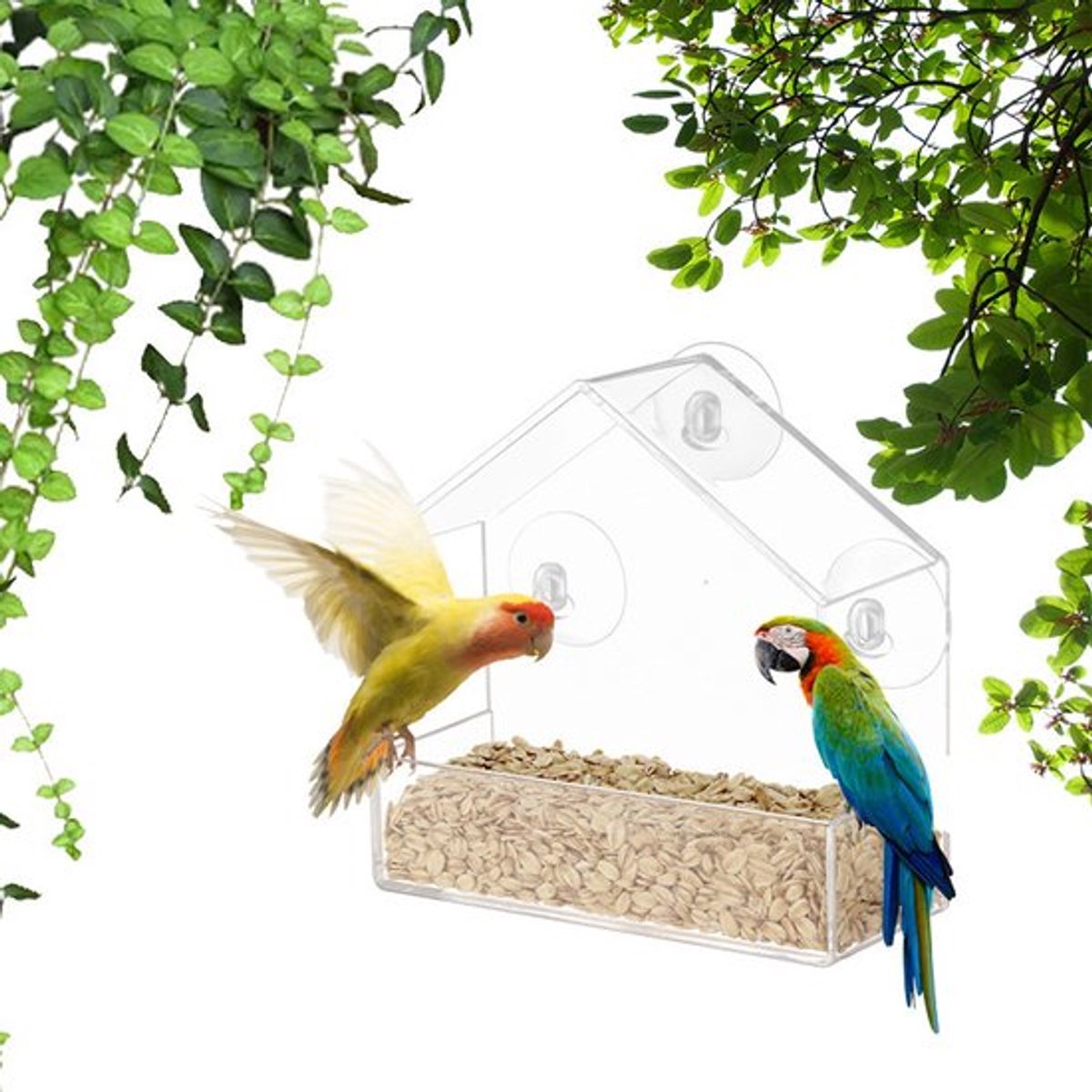 Vogelvoederhuisje - 15 X 15 X 6 Cm - Hangend Vogelhuisje - Vogelvoederhuisje Raam - Vogelhuisjes - Vogelvoederhuisje Raam - Doorzichtig Met Zuignap - Voederhuisje Geschikt Voor Wilde Vogels - Transparant