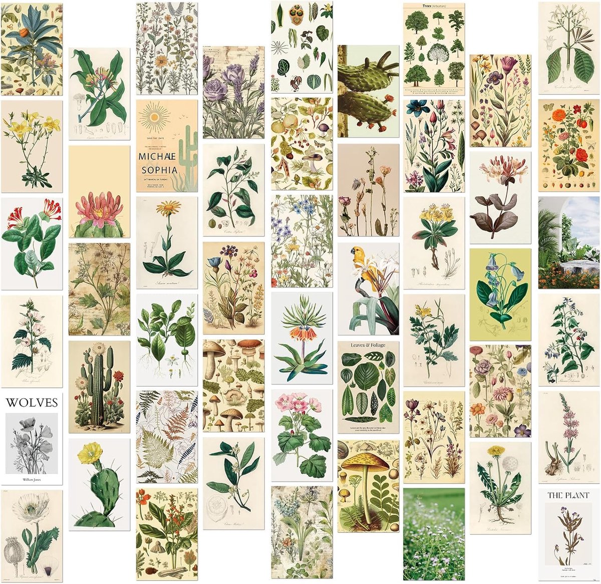 SnelShoppen - 50pcs Vintage Botanische Postkaarten Retro Bloemen Posters Wanddecoratie Kaarten Set voor DIY Creatieve Projecten en Thuisdecoratie
