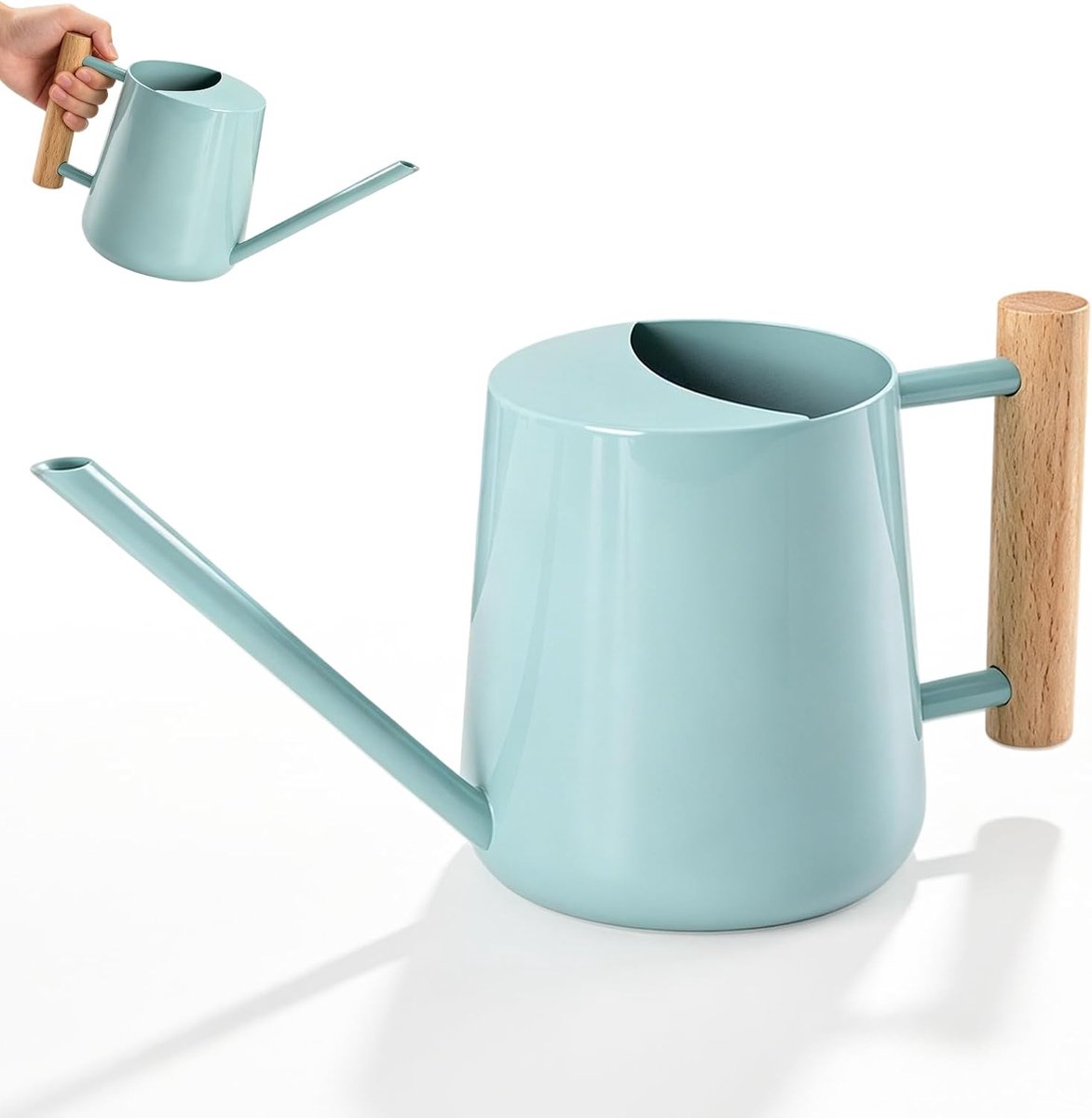 SnelShoppen - Gieter voor Kamerplanten 1 Liter - Roestvrij Staal - Klein en Modern - Indoor en Outdoor - Lange Schenktuit - Decoratief voor Balkon, Ka