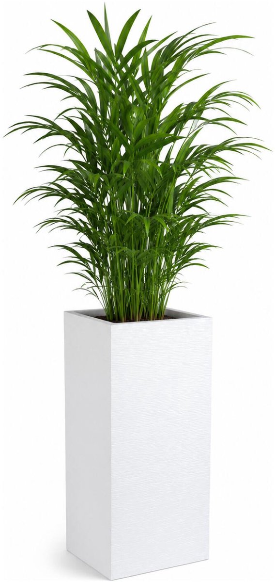 EDA Bloempot / plantenpot Graphit hoog - kunststof - creme wit - 80 cm - dubbelwandig - binnen / buiten
