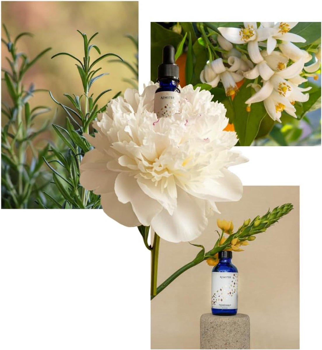 SnelShoppen - Lemon Lagunas Geurolië - 15ml - Fragrance Oil - Aroma Diffuser Geur - Citroen, Rozemarijn, Jasmijn - Ideaal voor Thuis - Verfrissend en