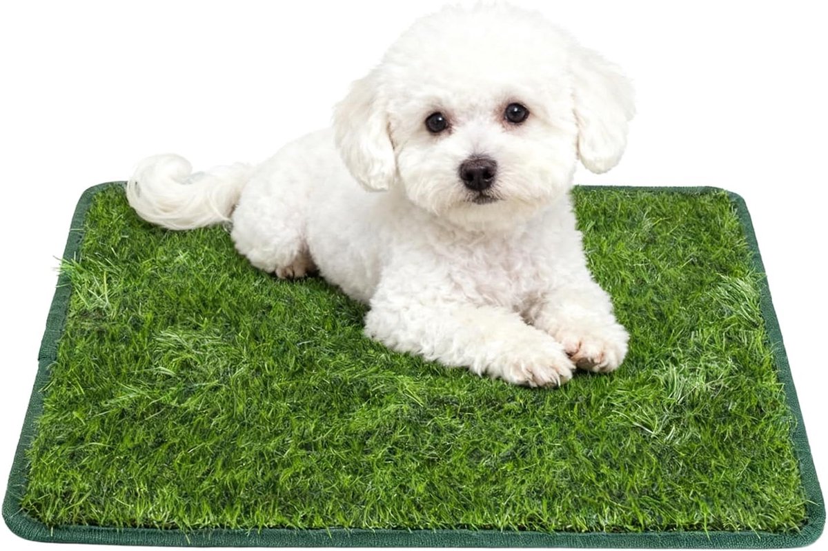 SnelShoppen - Dog Toilet met Kunstgras 80x100 cm - Vervangbaar, Wasbaar en Herbruikbaar - Perfect voor Balkon, Appartement en Training