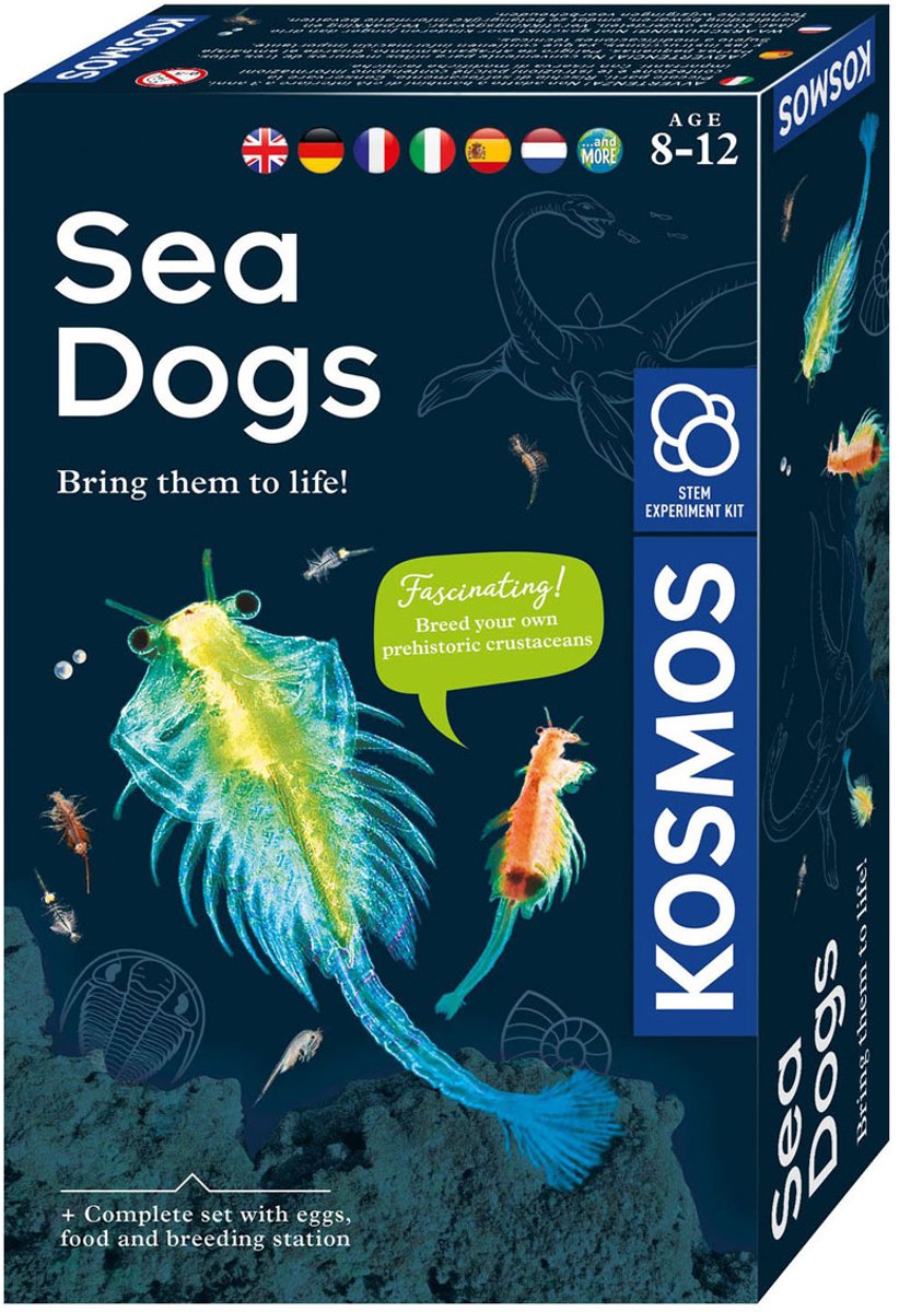 Mbe Sea Dogs