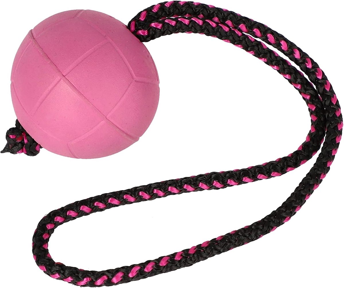 Balll BIBI voor training # 70 met handvat 30 cm kleur bessen drijvende bal rubber apport spel met hond 17251