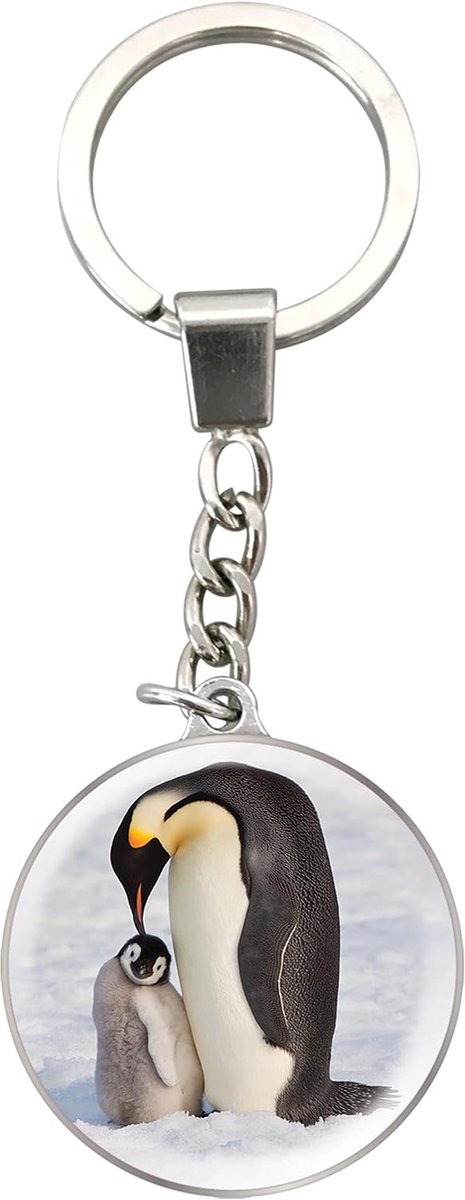 Keychains van Deluxebase. Kristalglas Sleutelhanger. Koepelvormige sleutelhanger met afbeelding van een met een roestvrijstalen ketting